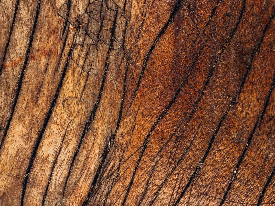Concept Study 01 — Close study of refined timber joinery and ambient illumination